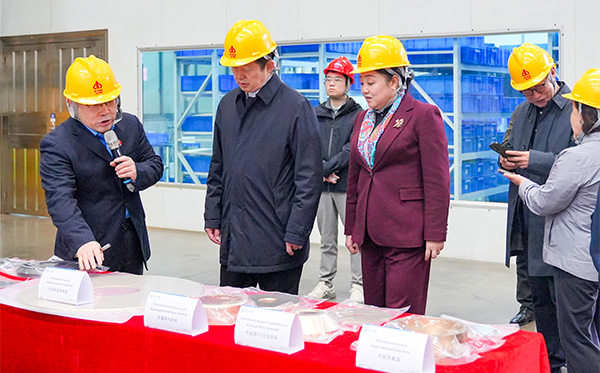 民革中央副主席谷振春一行蒞臨頂立科技調(diào)研 (4).jpg