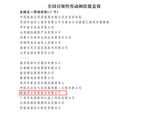 國家級榮譽！頂立科技榮獲“全國五一勞動獎狀”.png